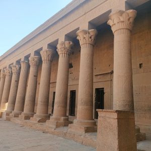 WhatsApp Image 2025-12-26 at 17.14.46